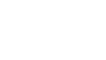 Ansi Logo White